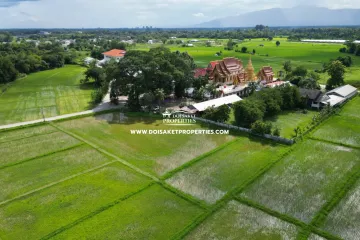 Land for sale in Choeng Doi, Chiang Mai