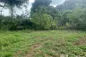 Land for sale in Ko Yao Noi, Phang Nga
