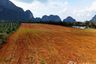 Land for sale in Khao Khram, Krabi