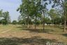 Land for sale in The Nature Home Chiangmai, Han Kaeo, Chiang Mai