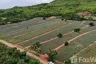 Land for sale in Pak Nam Pran, Prachuap Khiri Khan