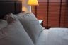 1 Bedroom Condo for rent in The Lumpini 24, Khlong Tan, Bangkok near BTS Phrom Phong