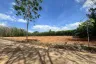 Land for sale in Nong Thale, Krabi