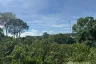 Land for sale in Bo Phut, Surat Thani