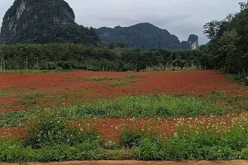 Land for sale in Nong Thale, Krabi
