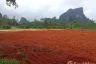 Land for sale in Nong Thale, Krabi