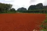 Land for sale in Nong Thale, Krabi