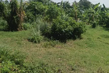Land for sale in Na Kluea, Chonburi