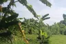 Land for sale in Na Kluea, Chonburi