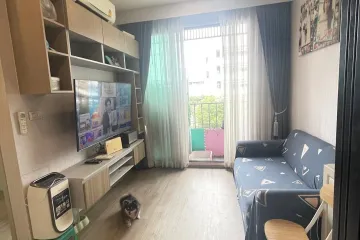 1 Bedroom Condo for rent in BRIXTON Pet and Play Sukhumvit 107, Bang Na, Bangkok near BTS Bearing