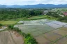 Land for sale in Luang Nuea, Chiang Mai