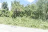Land for sale in Phlu Ta Luang, Chonburi