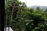 Land for sale in Ko Pha-ngan, Surat Thani
