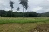 Land for sale in Pran Buri, Prachuap Khiri Khan