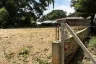 Land for sale in Pa Daet, Chiang Mai