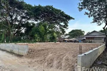 Land for sale in Pa Daet, Chiang Mai
