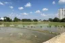 Land for sale in Nong Phueng, Chiang Mai