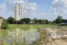 Land for sale in Nong Phueng, Chiang Mai