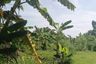 Land for sale in Na Kluea, Chonburi