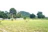 1 Bedroom House for sale in Na Kluea, Chonburi