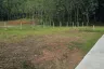 Land for sale in Wichit, Phuket