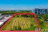 Land for sale in Nong Prue, Chonburi