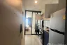 1 Bedroom Condo for rent in THE BASE Central-Phuket, Wichit, Phuket