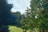 1 Bedroom Land for sale in Makham, Chanthaburi