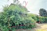 2 Bedroom House for sale in Sinsiri Bangbouthong, Lam Pho, Nonthaburi