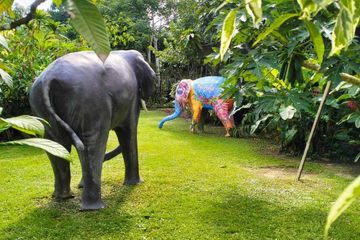 Commercial for sale in Ao Nang, Krabi