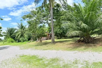 Land for sale in Pran Buri, Prachuap Khiri Khan