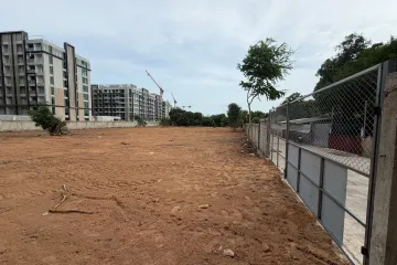 Land for Sale or Rent in Nong Prue, Chonburi