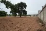 Land for Sale or Rent in Nong Prue, Chonburi
