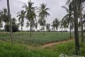 Land for sale in Pran Buri, Prachuap Khiri Khan