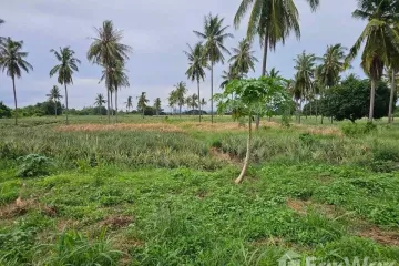 Land for sale in Pran Buri, Prachuap Khiri Khan