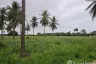 Land for sale in Pran Buri, Prachuap Khiri Khan