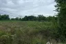 Land for sale in Yu Wa, Chiang Mai