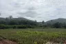 Land for sale in Thap Tai, Prachuap Khiri Khan