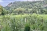 Land for sale in Nong Kae, Prachuap Khiri Khan