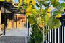 3 Bedroom House for rent in The Plant Estique Pattanakarn 38, Suan Luang, Bangkok near MRT Khlong Kalantan