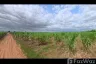 Land for sale in Hua Hin, Prachuap Khiri Khan