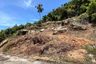 Land for sale in Maret, Surat Thani