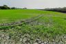 1 Bedroom Land for sale in Lam Pla Thio, Bangkok