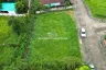 Land for sale in Pa Pong, Chiang Mai