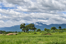 Land for sale in Nong Han, Chiang Mai
