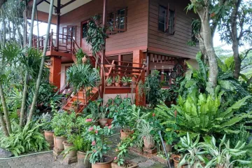3 Bedroom House for rent in Don Kaeo, Chiang Mai