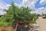Land for sale in Ram Inthra, Bangkok