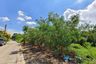 Land for sale in Ram Inthra, Bangkok