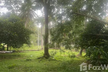 Land for sale in Ao Nang, Krabi