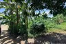 Land for sale in Samrong Nuea, Samut Prakan near BTS Samrong
